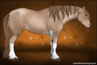 Horse Color:White Spotted Liver Red Roan Pearl Frame 