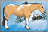 Horse Color:Buckskin Tobiano 