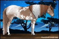 Horse Color:White Spotted Chestnut Tobiano 
