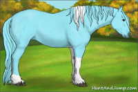 Horse Color:Watercolor Black Tobiano 