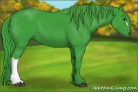 Horse Color:Watercolor Black 