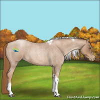 Horse Color:Liver Red Roan Pearl Tobiano Frame 