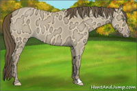 Horse Color:Amber Cream Champagne Ice Roan Dun