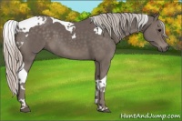 Horse Color:Silver Black Tobiano 