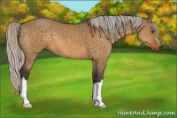 Horse Color:Silver Buckskin Dun 