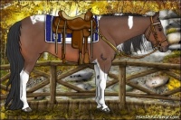 Horse Color:Bay Roan Tobiano