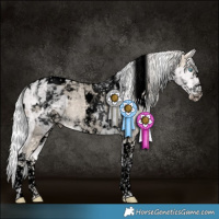 Horse Color:Void Cremello Sabino Tobiano and Void Cremello Sabino Tobiano Rabicano