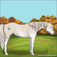 Horse Color:Smoky Creme Sabino  and Smoky Creme Sabino Splash 