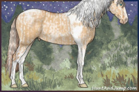Horse Color:Perlino Sabino Tobiano  and Gray Cremello Dun Sabino Tobiano 
