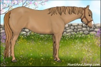 Horse Color:Chestnut Splash 