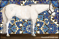 Horse Color:Perlino Sabino  and Perlino Roan Sabino 