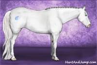 Horse Color:Perlino Sabino and Silver Perlino Sabino
