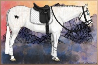 Horse Color:Cremello Sabino  and Cremello Sabino 