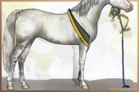 Horse Color:White Spotted Liver Red Dun Frame 