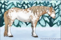 Horse Color:Chestnut Frame and Chestnut Frame Near Leopard
