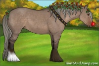 Horse Color:Liver Red Dun 