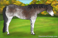 Horse Color:White Spotted Brown Mushroom Sabino 