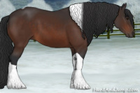 Horse Color:Brown Tobiano 