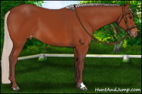 Horse Color:Chocolate Silver Bay Varnish