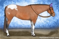 Horse Color:Bay Tobiano Snowcap 