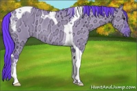 Horse Color:Watercolor Smoky Grullo Ice Tobiano Rabicano 