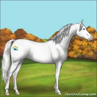 Horse Color:Silver Perlino Dun 