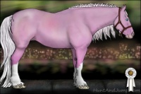 Horse Color:Silver Perlino Dun 