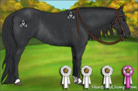 Horse Color:Black Rabicano 