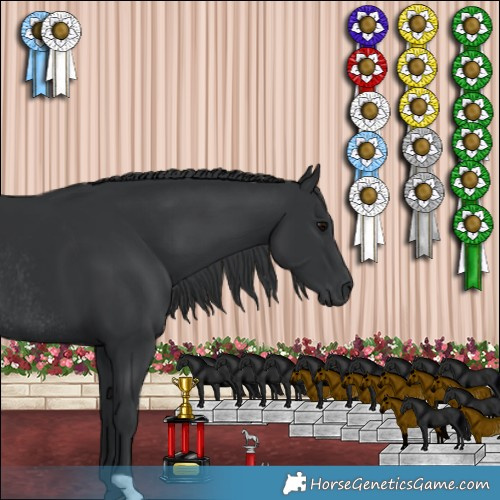 Horse Color:Black Rabicano 