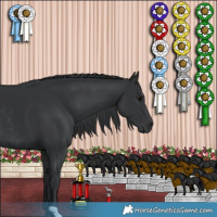 Horse Color:Black Rabicano