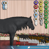 Horse Color:Black Rabicano 