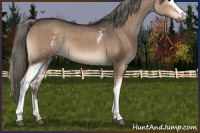 Horse Color:White Spotted Liver Red Dun Mushroom 