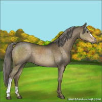 Horse Color:Chocolate Palomino Mushroom 