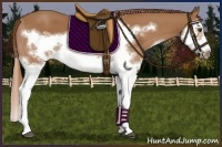 Horse Color:Chestnut Splash Frame