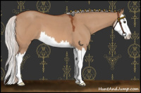 Horse Color:Silver Brown Roan Dun Splash 