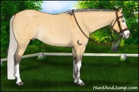 Horse Color:Silver Buckskin Roan Dun Splash Rabicano 