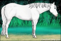 Horse Color:Cremello Dun 
