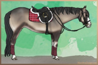 Horse Color:Blue Onyx 