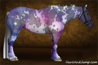 Horse Color:White Spotted Blue Roan Rabicano 