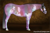 Horse Color:Bay Roan Sabino Splash