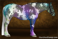 Horse Color:White Spotted Blue Roan Appaloosa Rabicano 