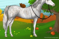 Horse Color:Smoky Creme Sabino  and Smoky Creme Sabino 