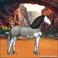 Horse Color:Grullo Roan Splash 