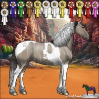 Horse Color:Smoky Grullo Ice Roan Tobiano 