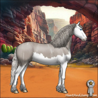 Horse Color:Silver Grullo Ice Roan Splash 