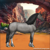 Horse Color:Grullo Roan 
