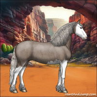 Horse Color:Silver Blue Roan Splash