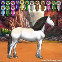 Horse Color:Buckskin Ice Roan Dun Splash 