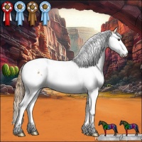 Horse Color:Chestnut Ice Splash Tobiano 