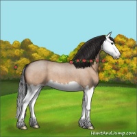 Horse Color:Brown Roan Dun Splash